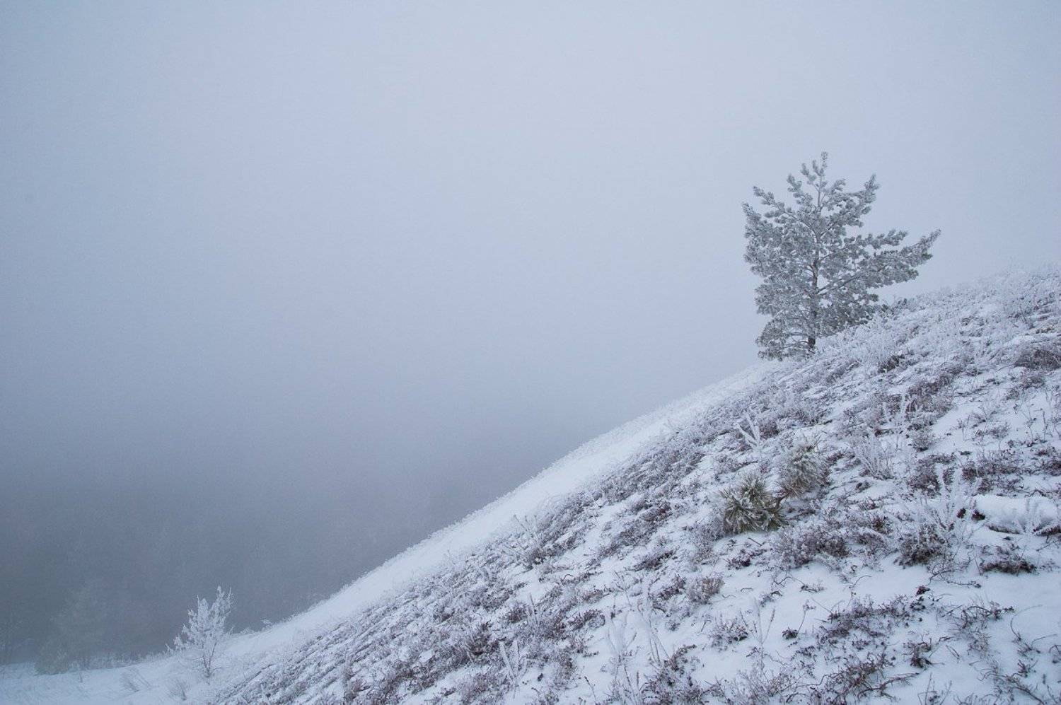 , Александр Филатов