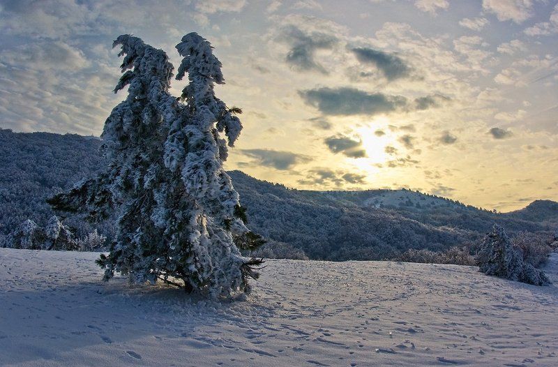 В царстве зимы фото превью