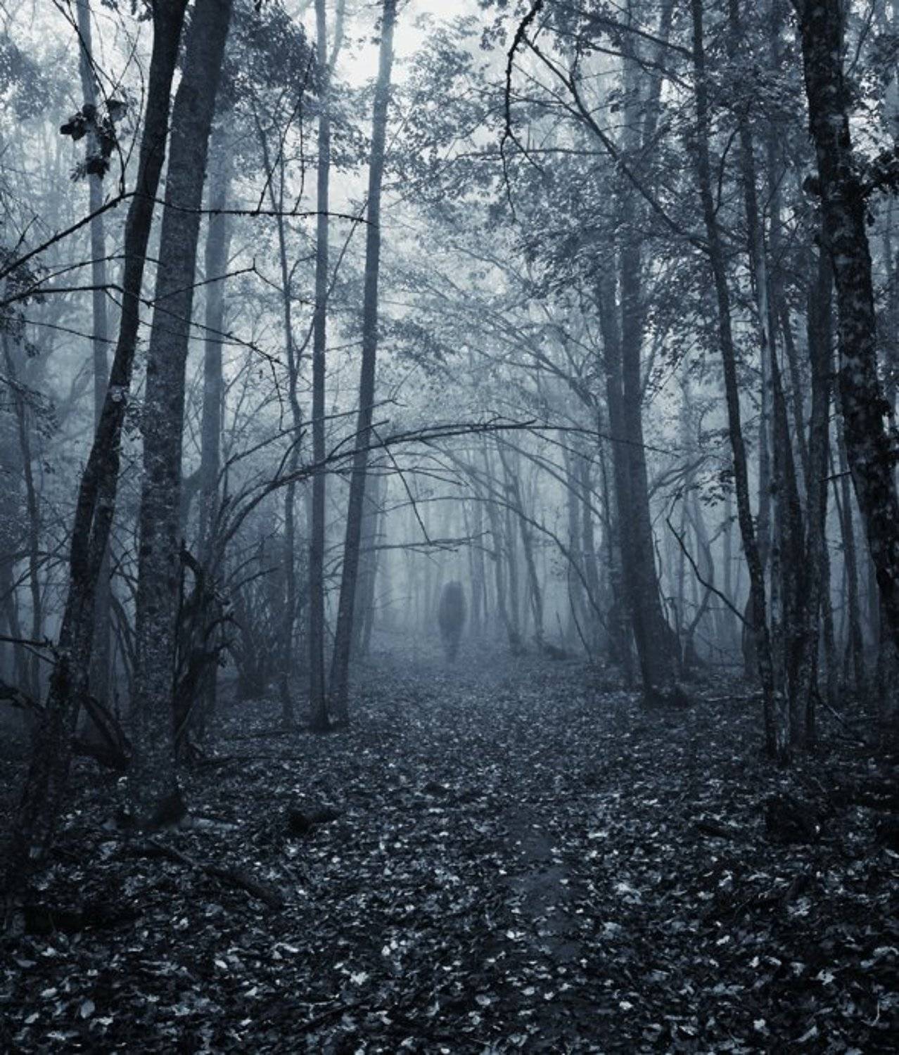 , Павел Хлыпенко