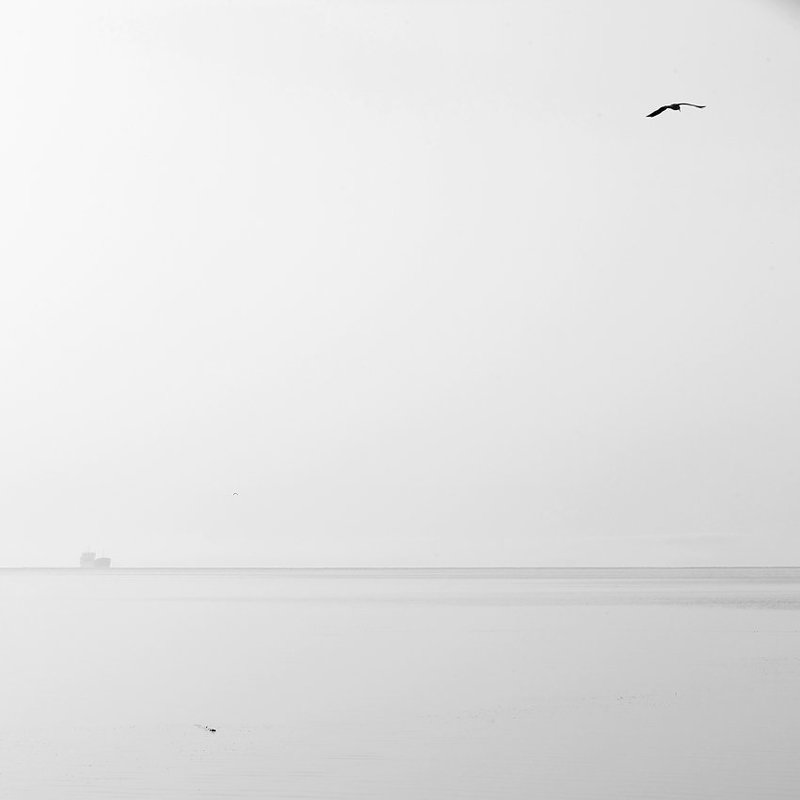 Точка и линия на плоскости фото превью