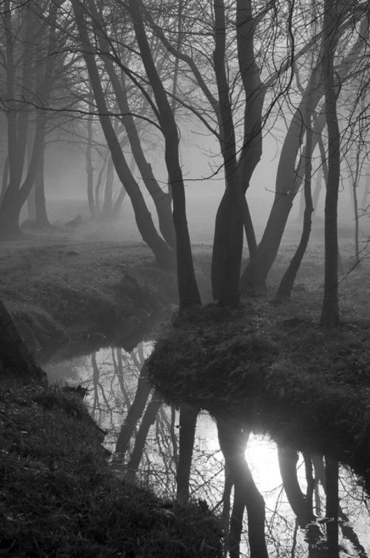 Отражения фото превью