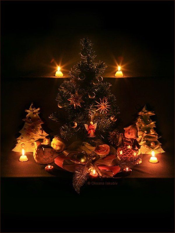 Волшебная ночь фото превью