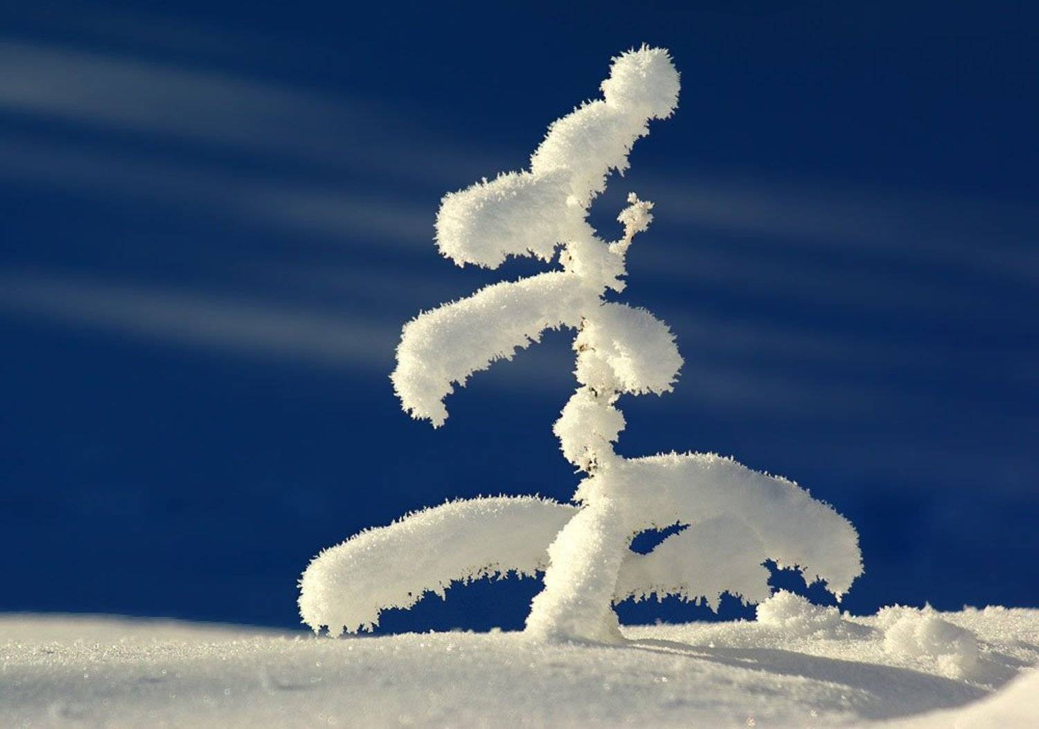 иней, Солодухин Виктор