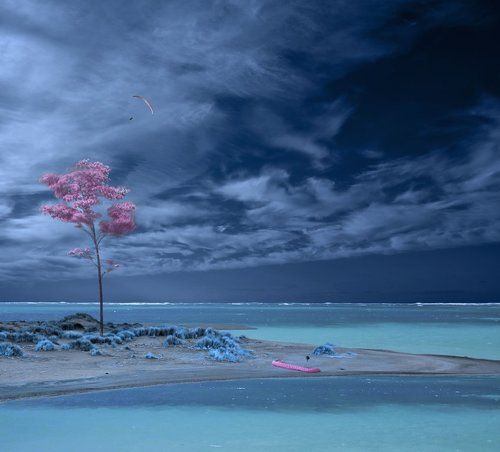 Chasing the wind -IR-