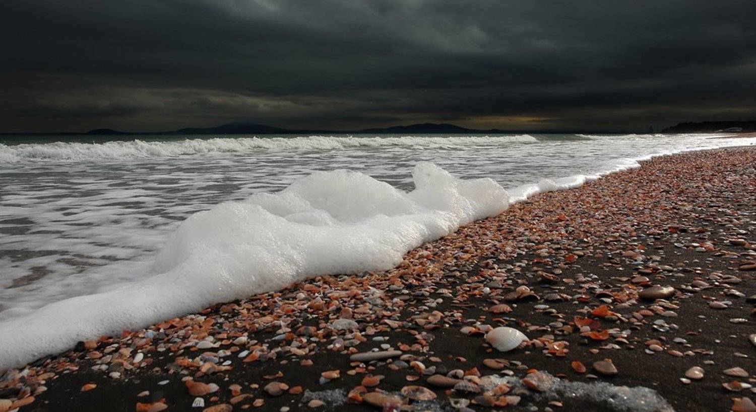 , Senna Ayd-Photographer