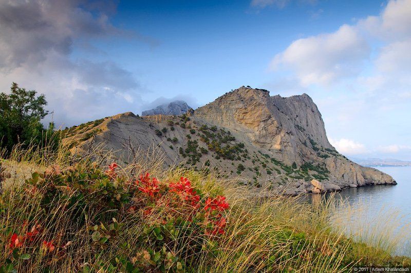крым, новый свет Цвета Крыма фото превью