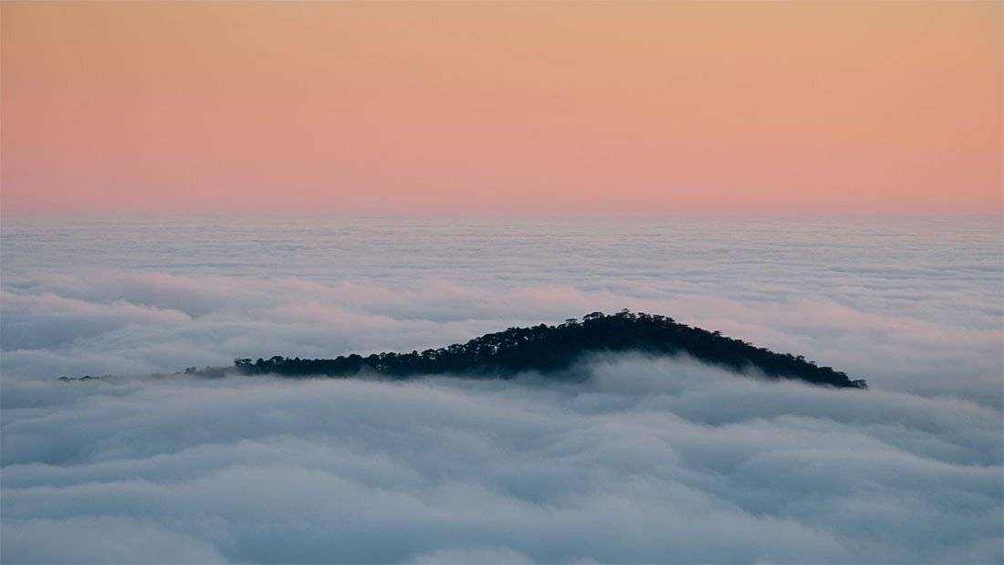 , максим куташев