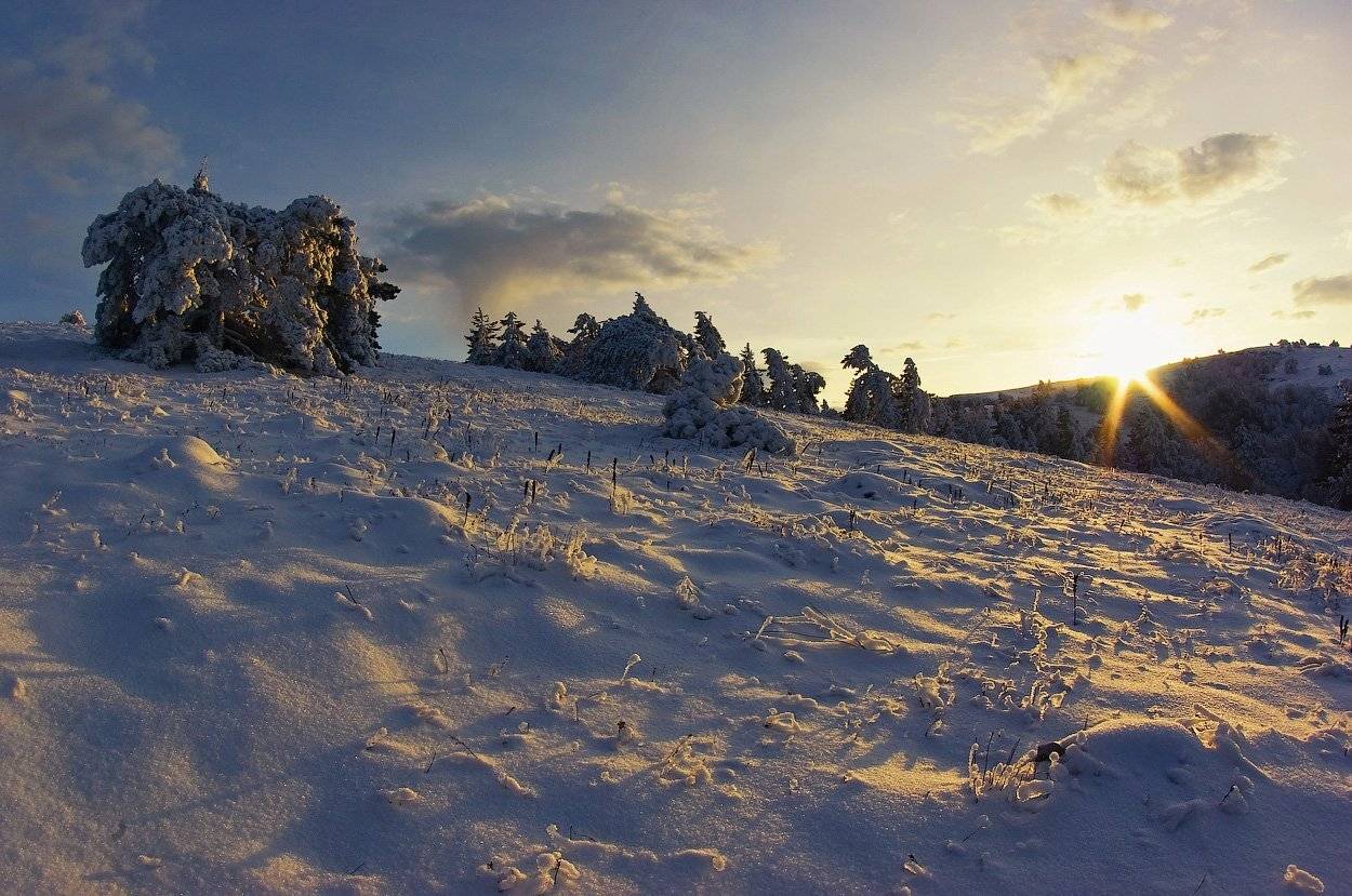 , Игорь Мелекесцев