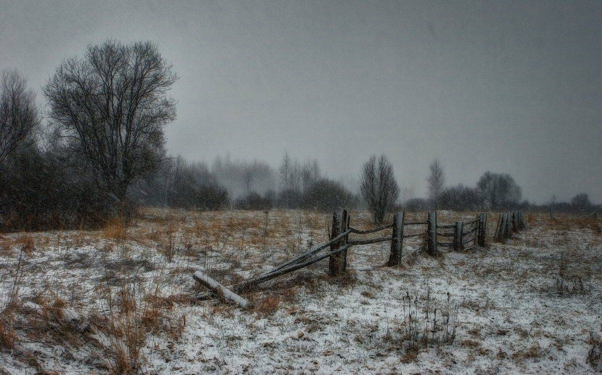 , Владимир Липецких