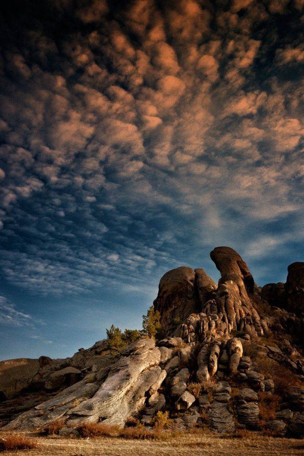 , Дмитрий Елисеев