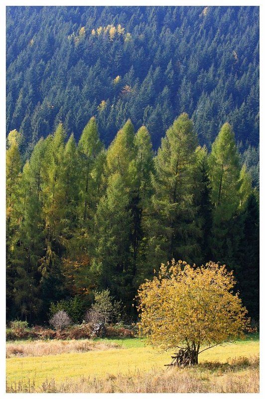 ** фото превью