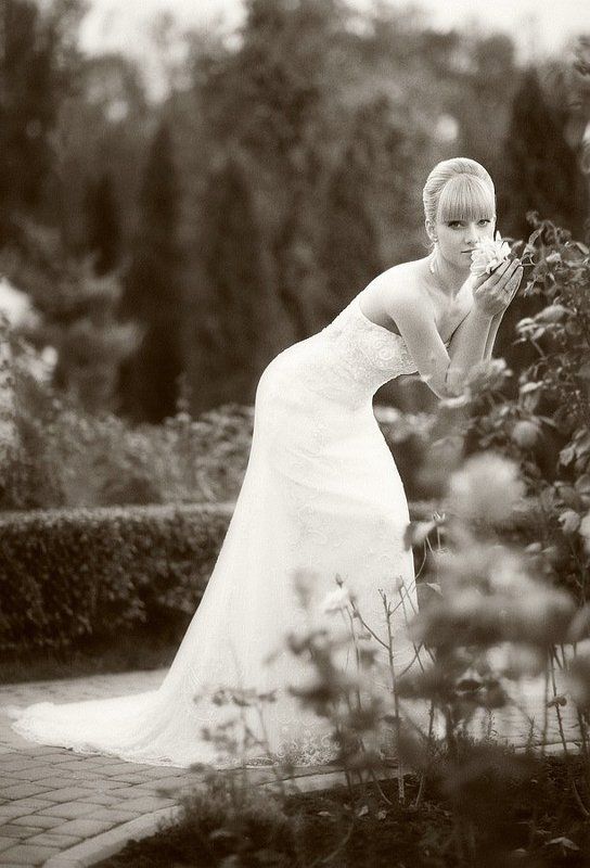 невеста, портрет, свадьба *** фото превью