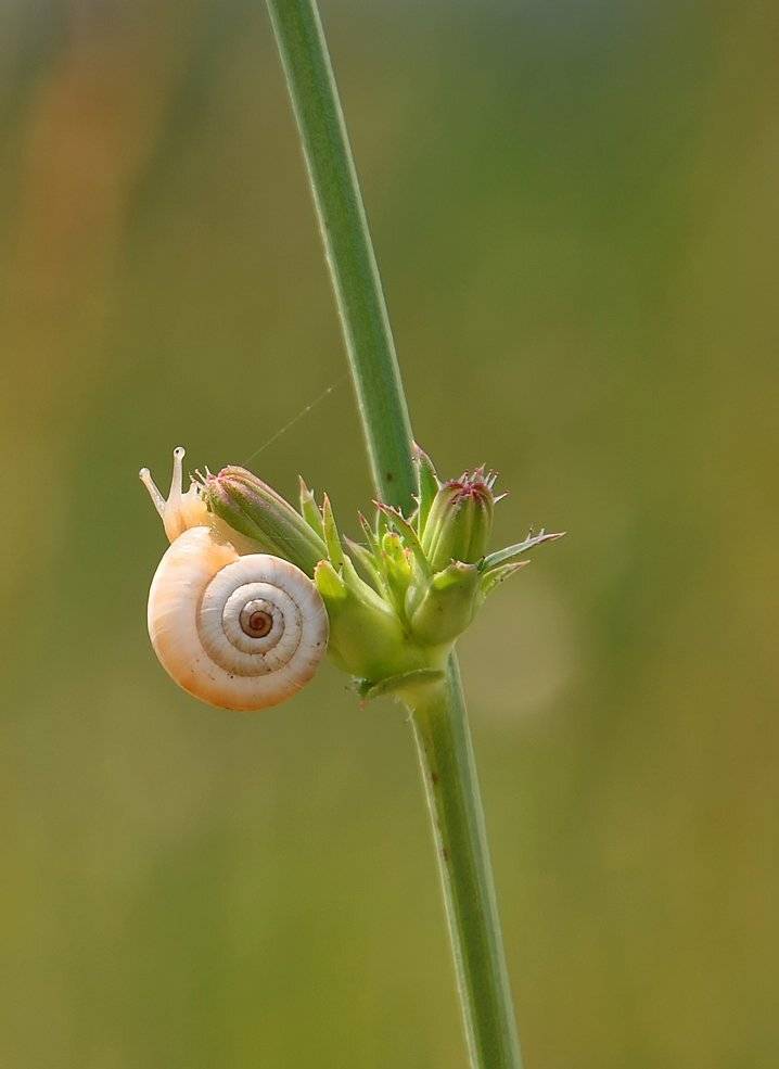 , Игорь Олейник