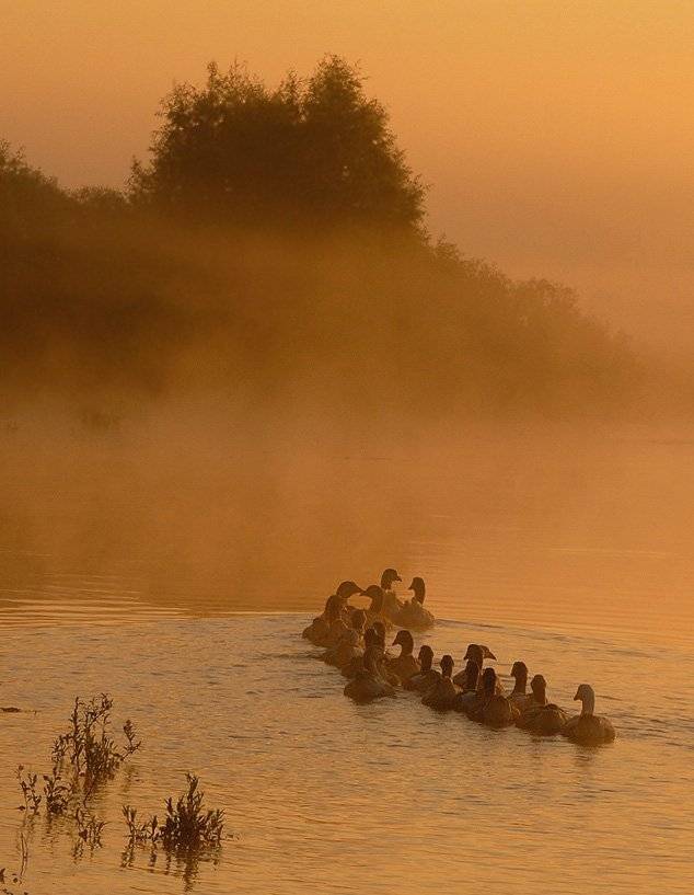 , Александр