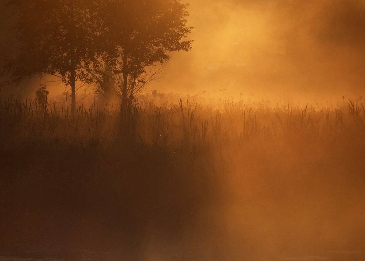 , Владимир Перепечаев