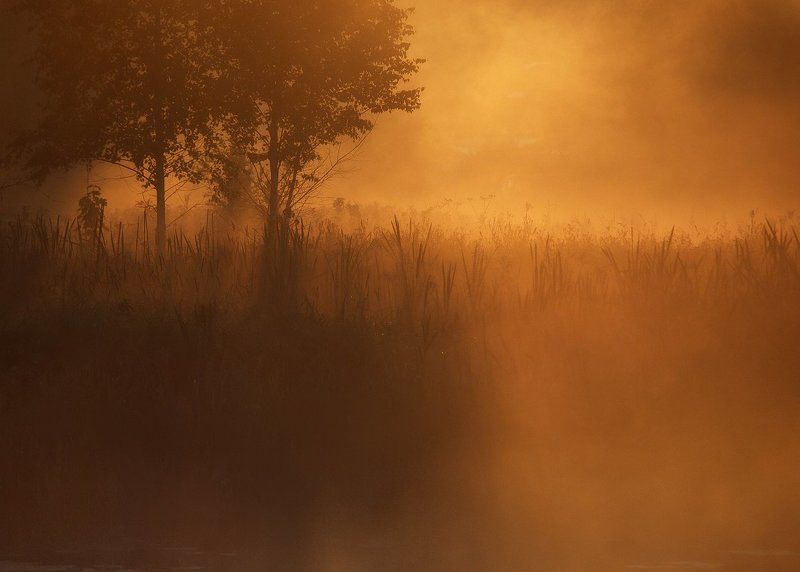 Летним утром... фото превью