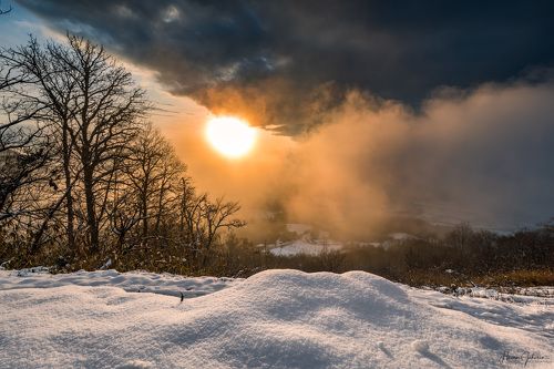 Burning Morning