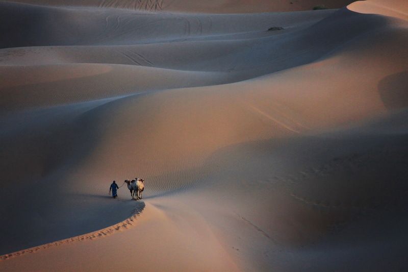 Desert-2 фото превью