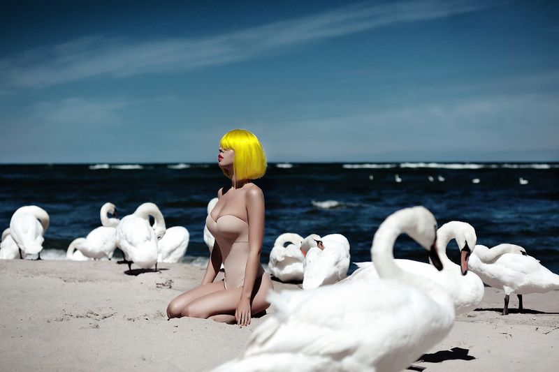 фото превью