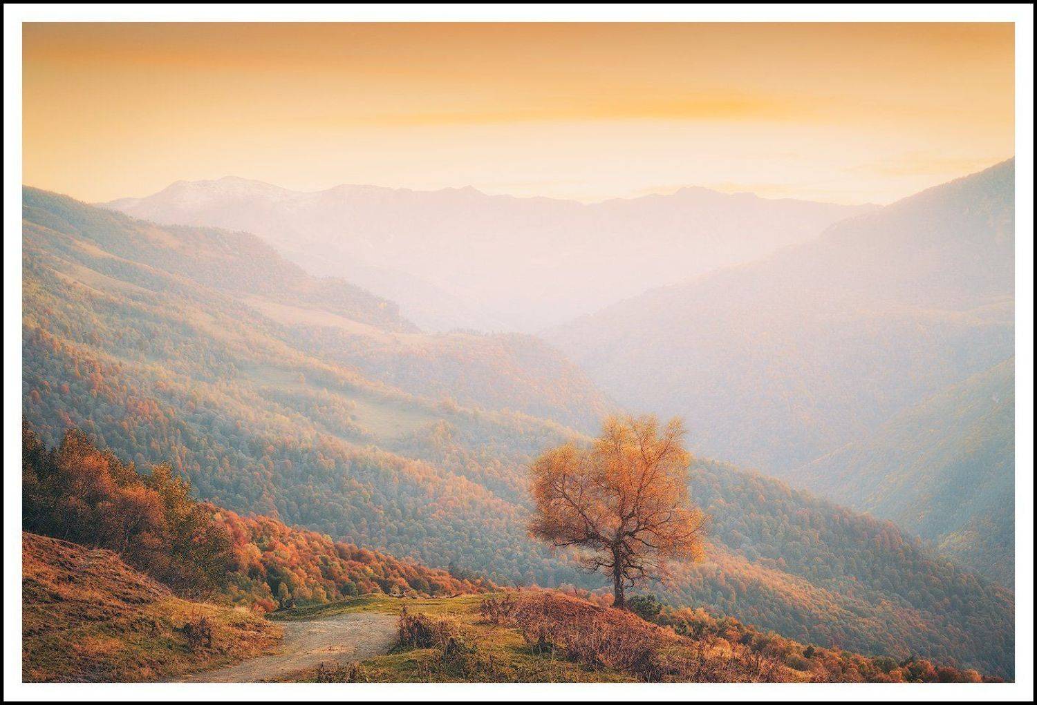 , Минаев Павел