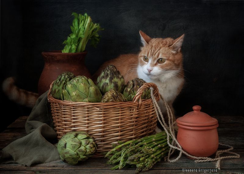 Поиграть в прятки фото превью