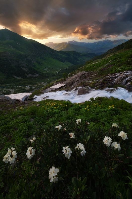 *** фото превью