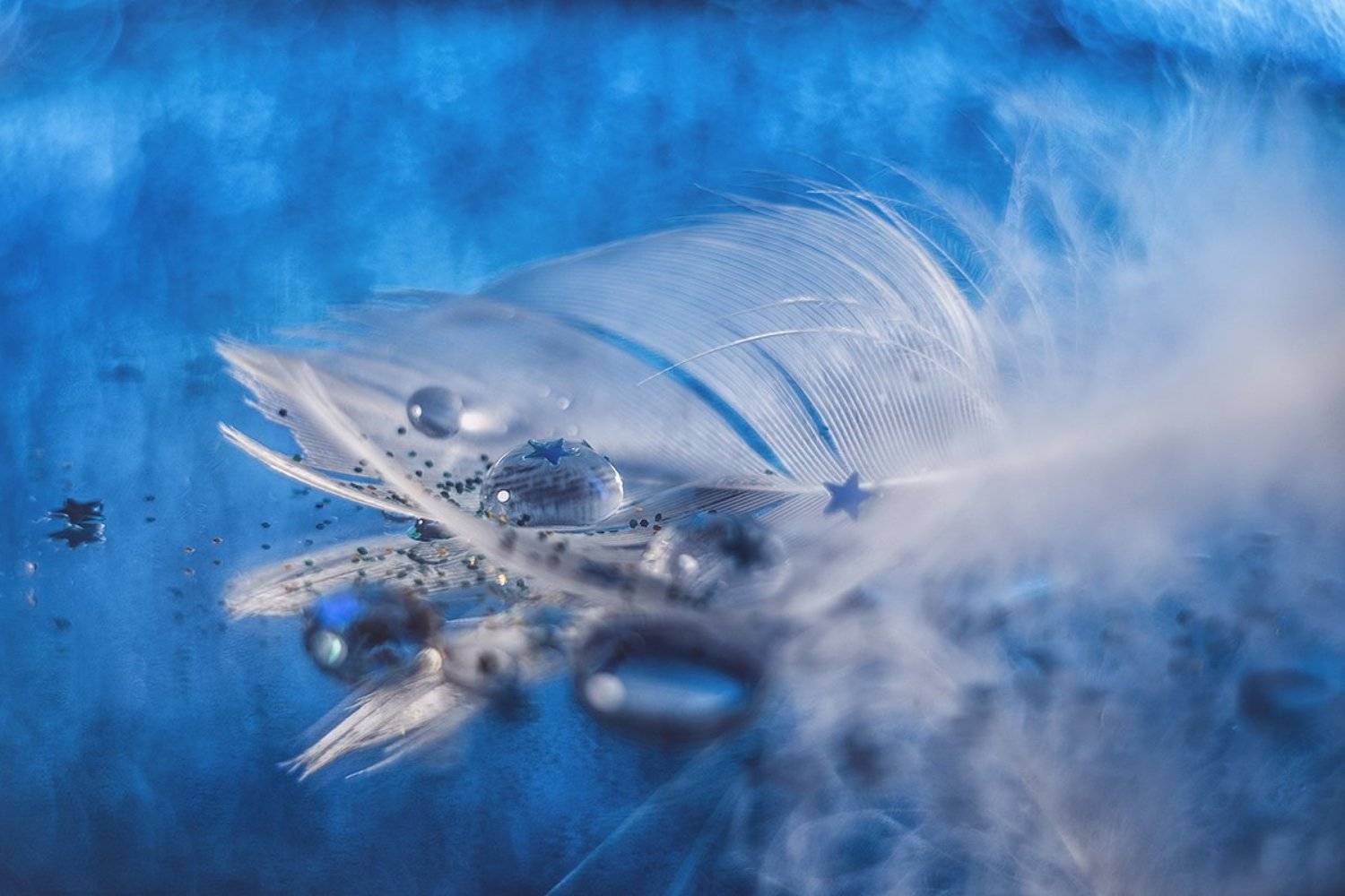 макро, макрофотография, боке, перо, капли, Ксения Орлова