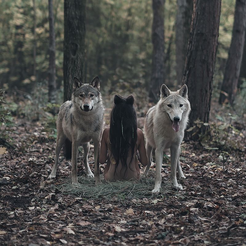 * фото превью