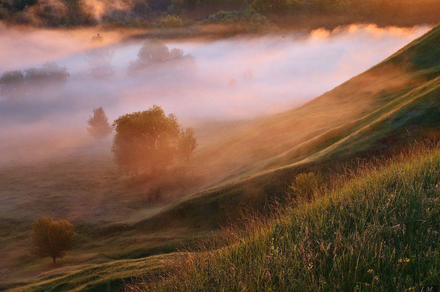 утро, туман, свет, долина, река, рассвет, лето, пейзаж, nature, light, fog, morning, sunrise, summer, grass, river, valley, foggy, misty, colors, landscape, trees, Ivan Maljarenko 