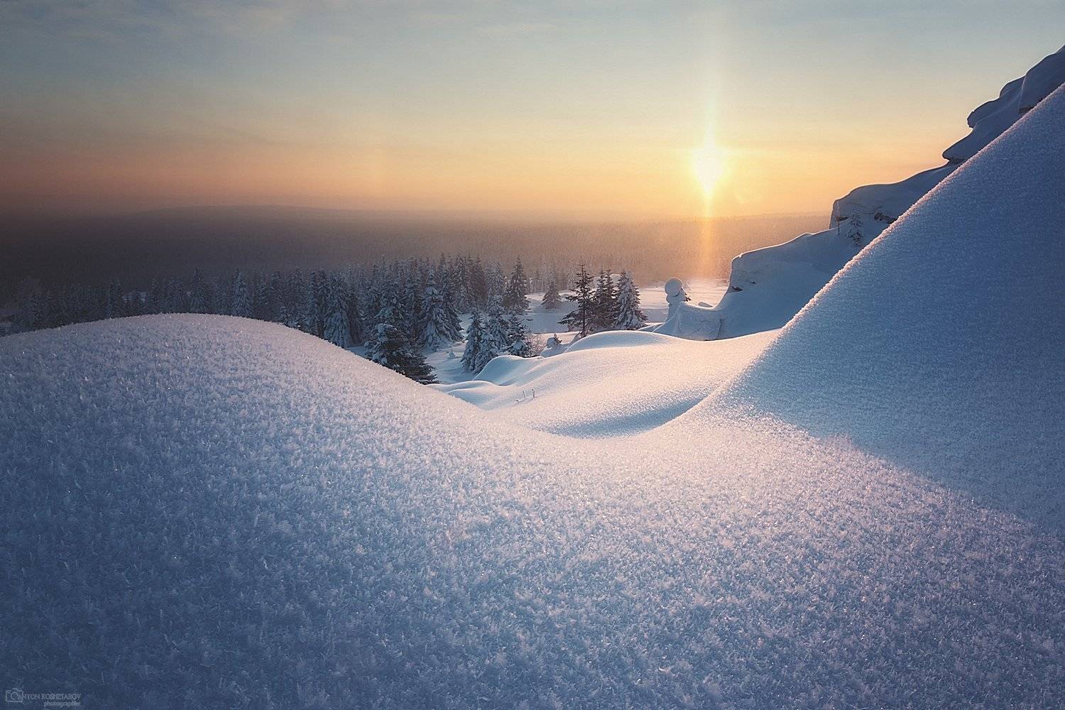 , Антон Кошетаров