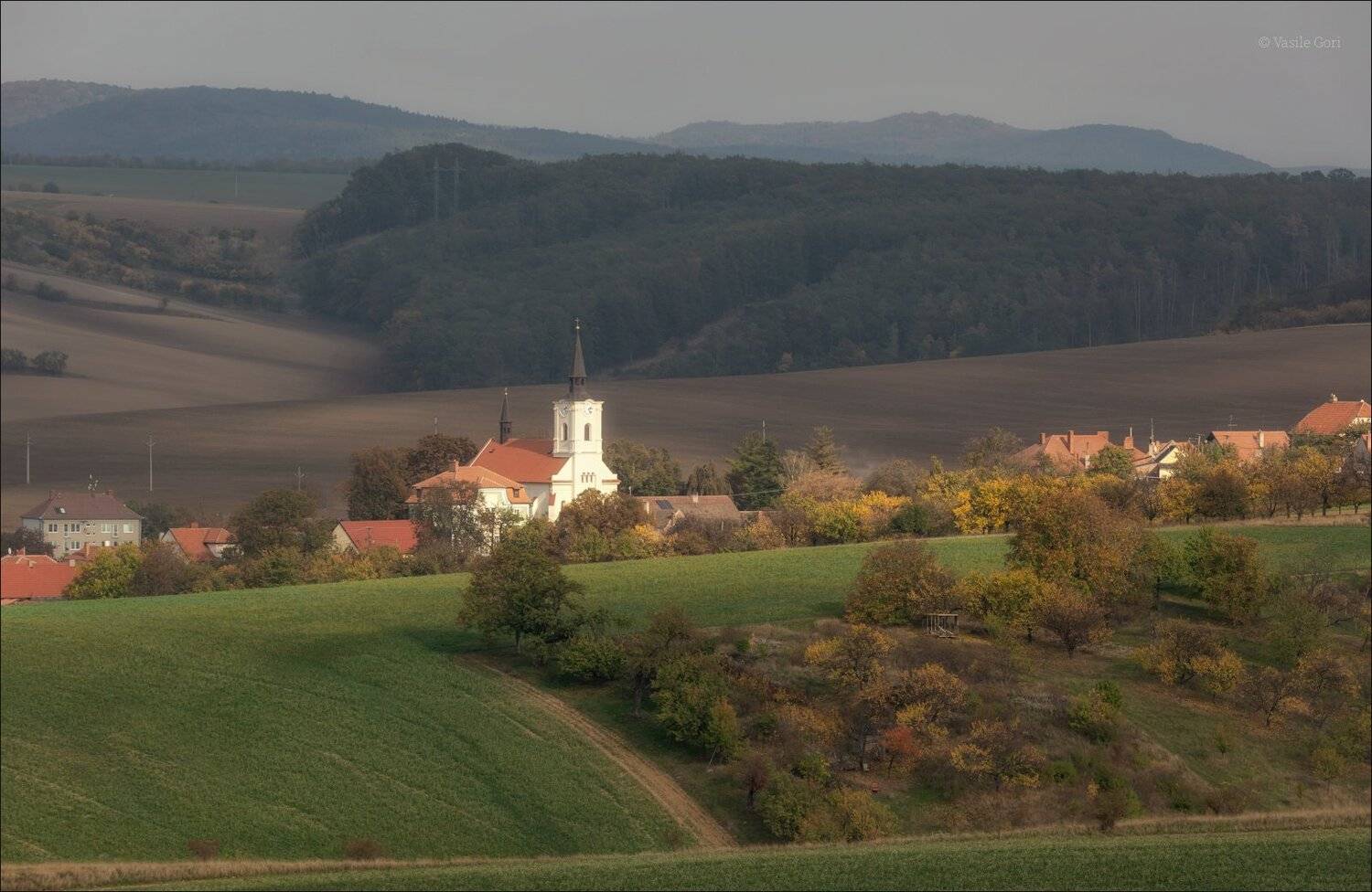 южная моравия,пейзаж,věteřov,деревья,линии,south moravian,lines,свет,czech,осень,чехия,landscape, Василий Гори