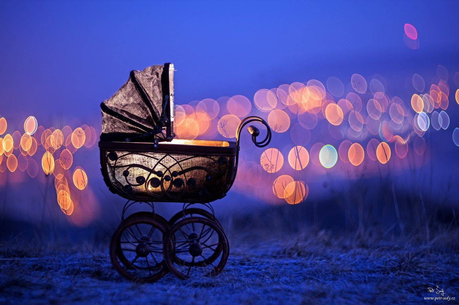 sony, Petr &Scaron;ed&yacute;