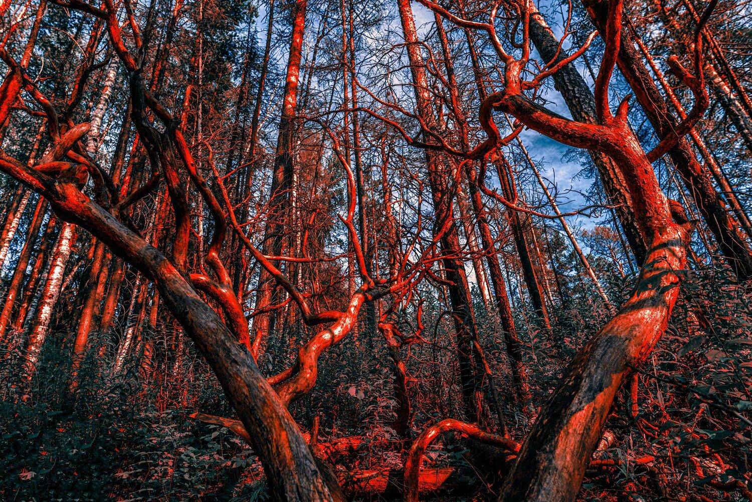 , Сергей Скоробогатов