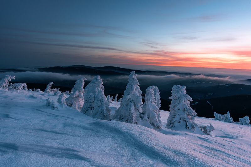 Dawn фото превью