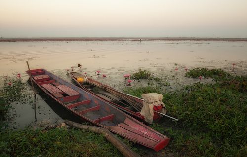 Озеро Красных лотосов