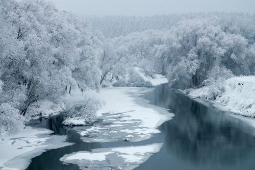 под снежной вуалью