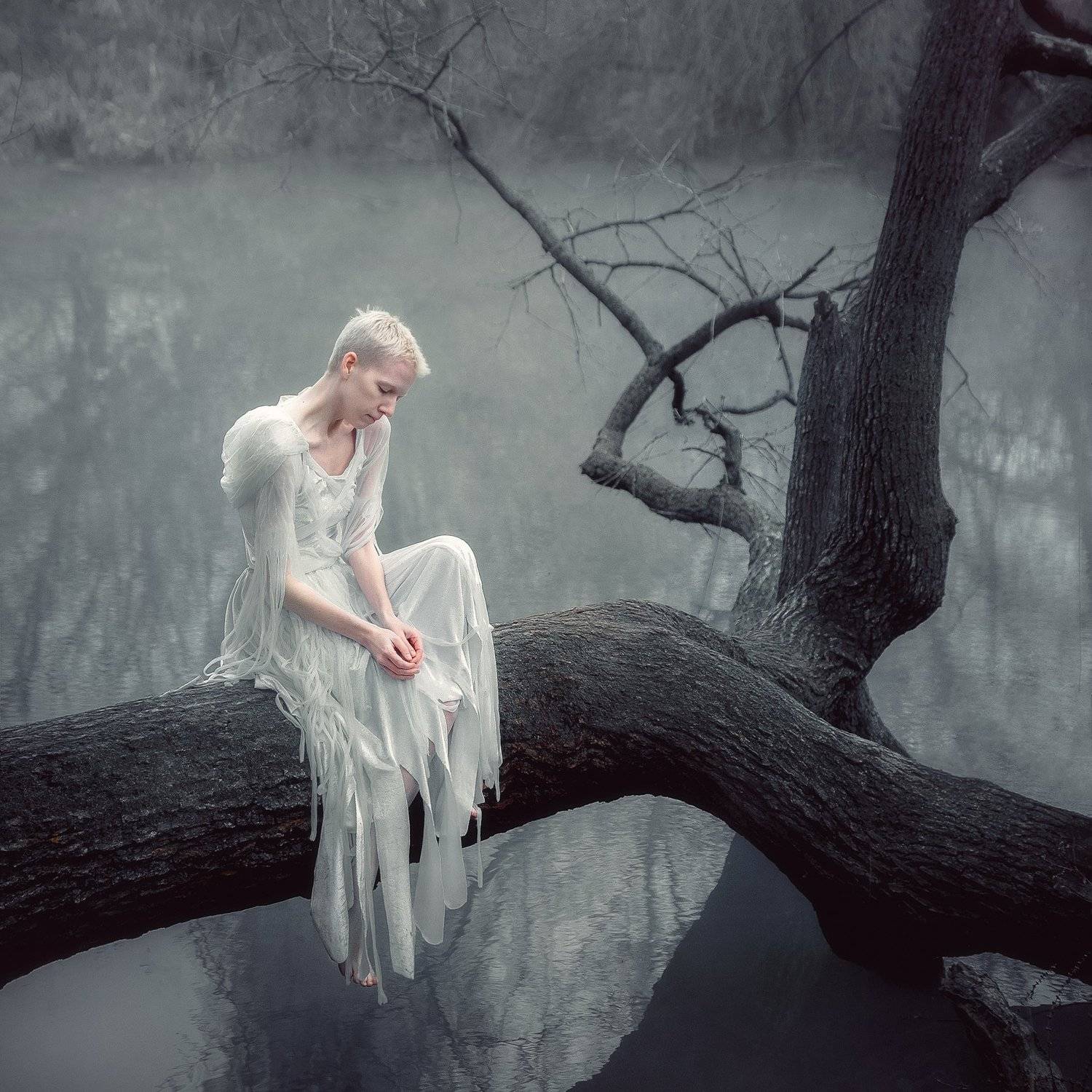 girl, portrait, angel, crow, white, nature, water, tree, dress, fatigue, sadness, silence, russia, krasnodar, Васильев Андрей