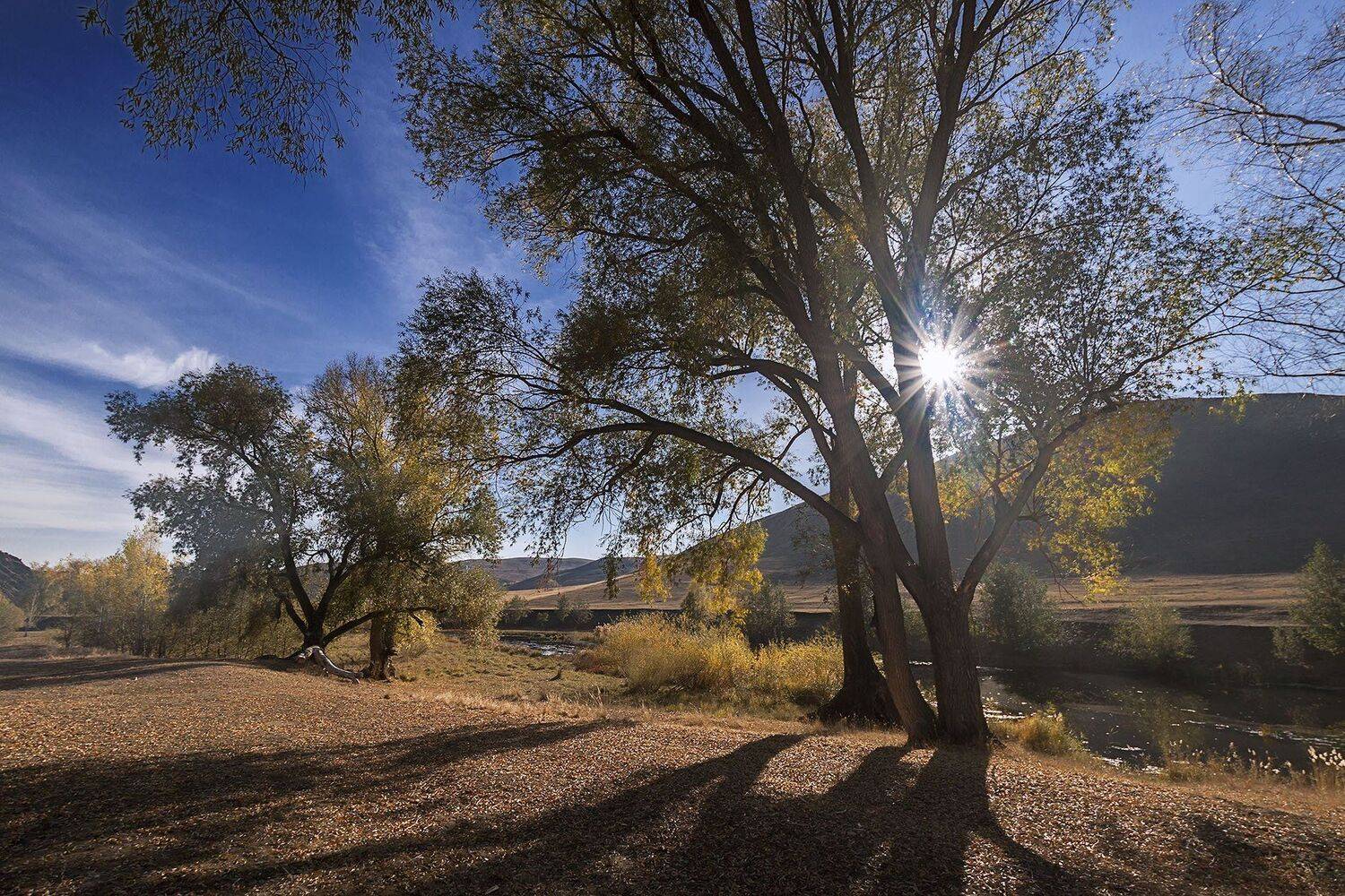 южный, урал, губерля орск, новотроицк, Качурин Алексей