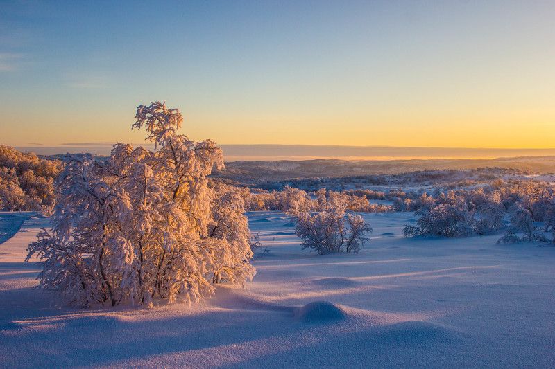 В тёплых лучах солнца фото превью