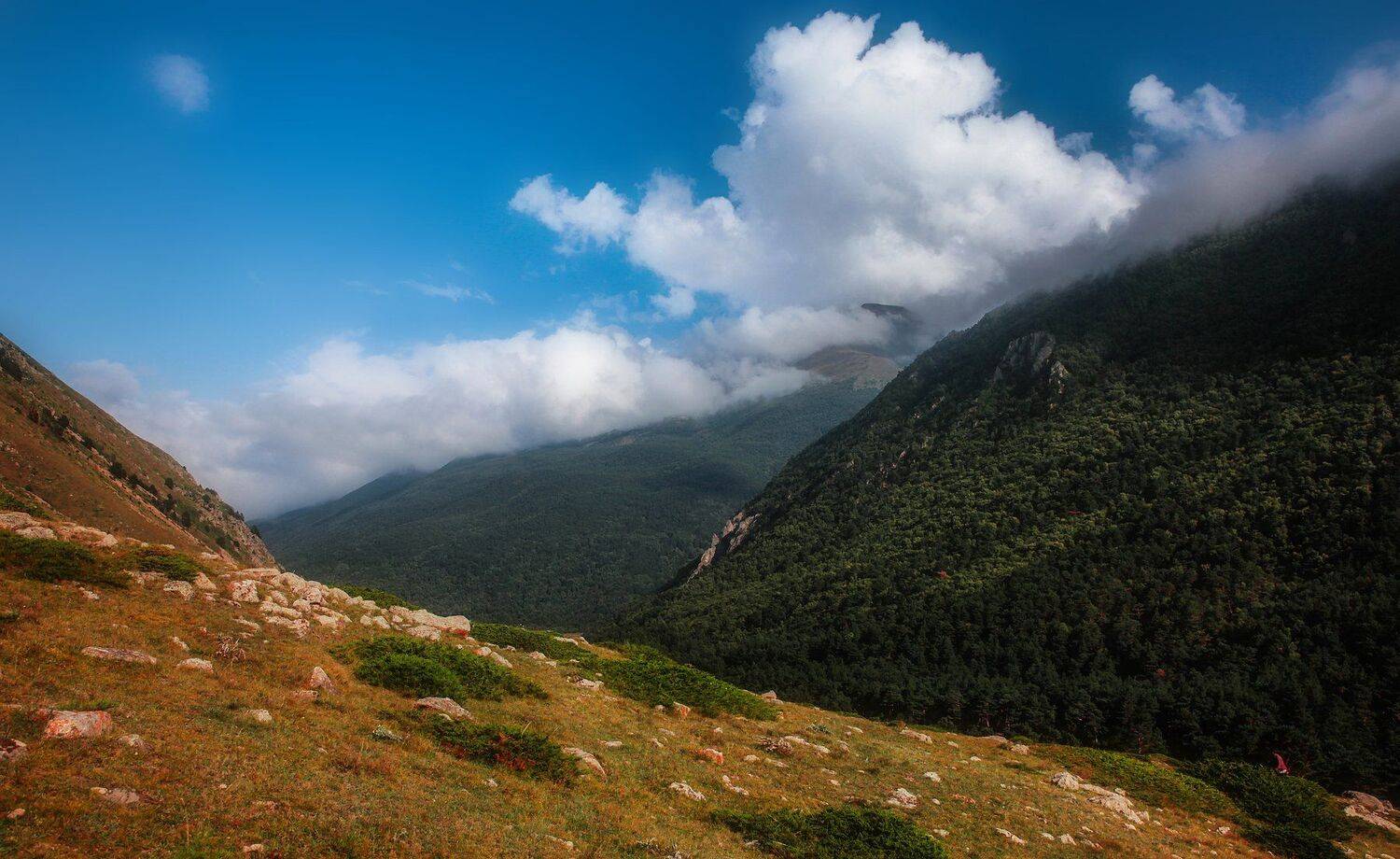 горы,лето,пейзаж,туман, Marat Magov