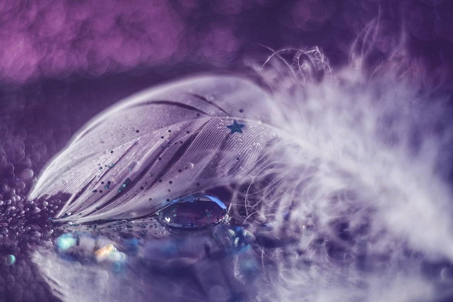 макро, макрофотография, боке, капли, перо, Ксения Орлова