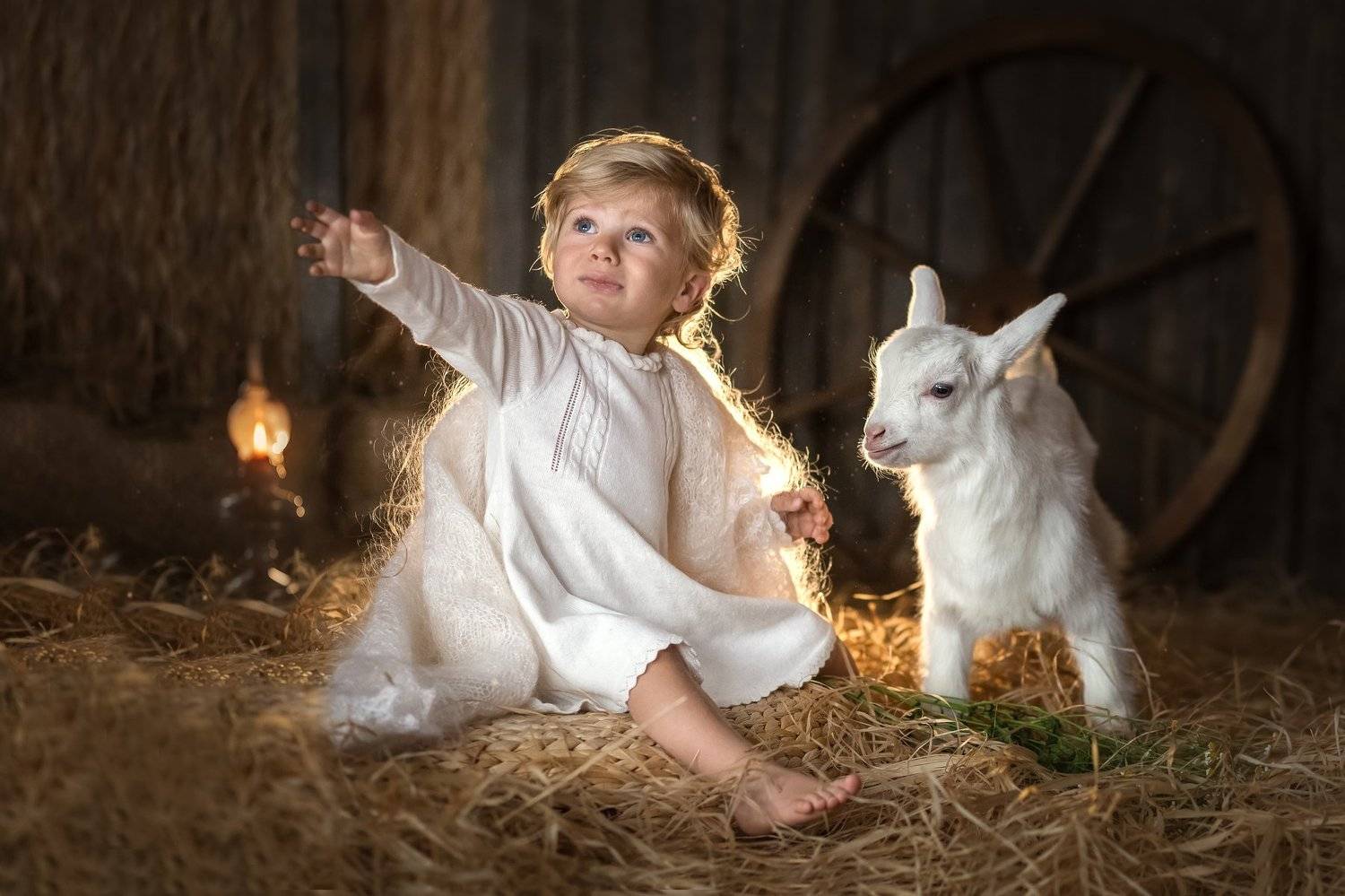 козленок, Марина Порунова