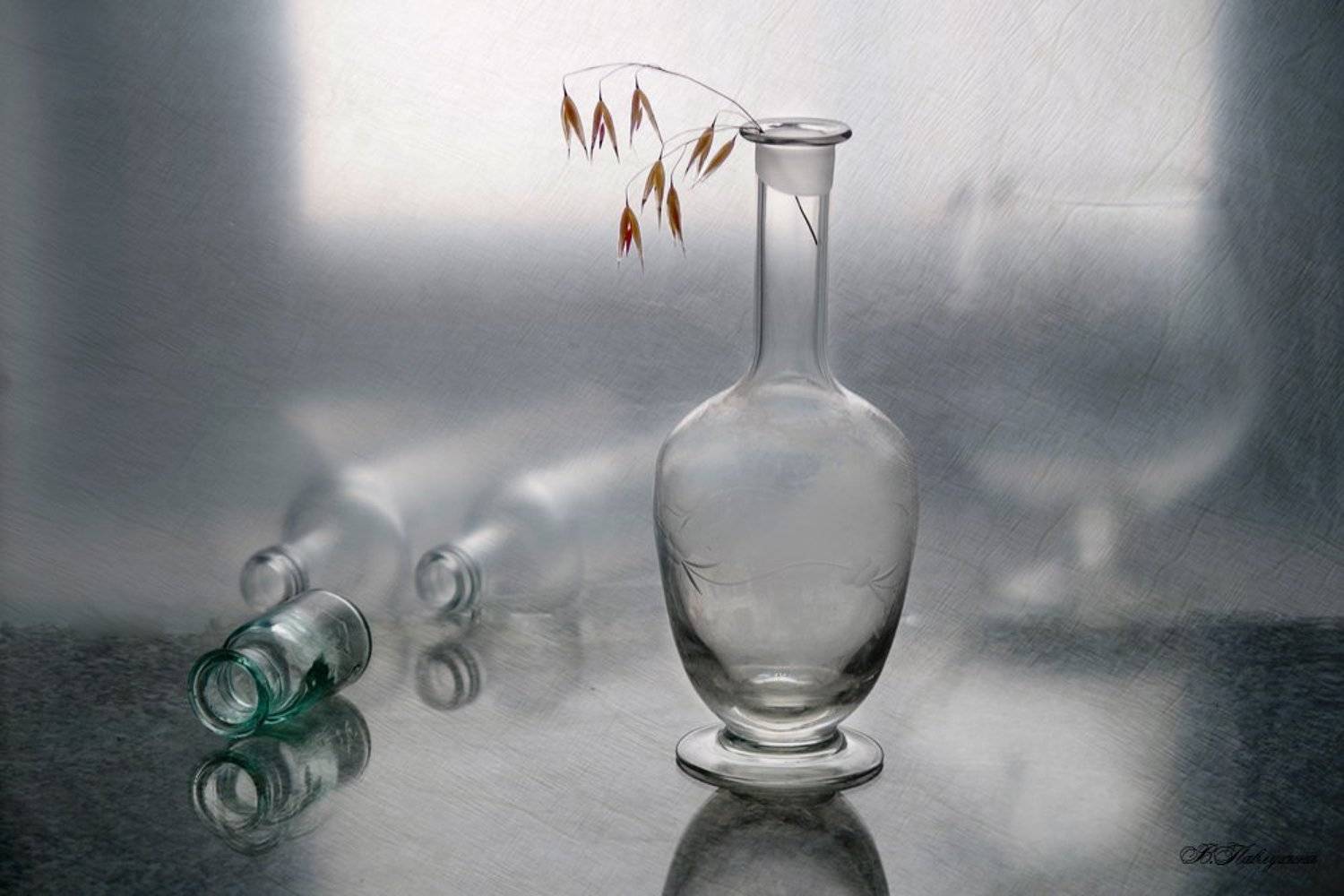 , Вера  Павлухина