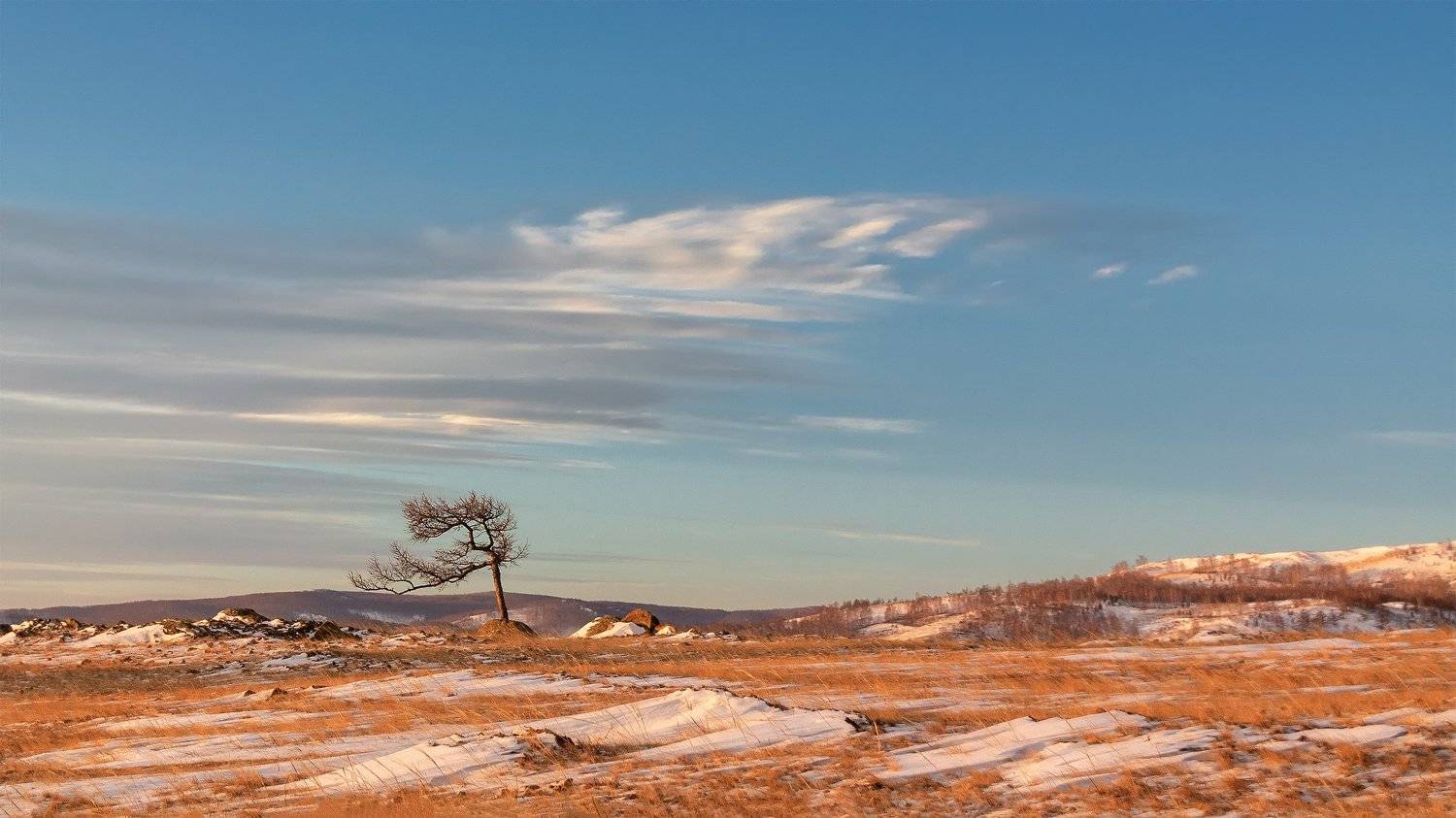 , Леонид Максименко