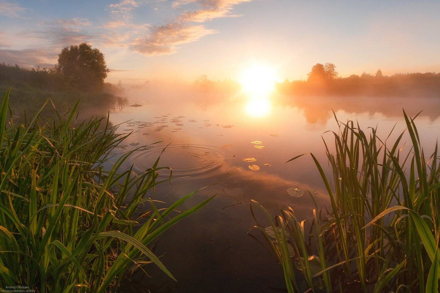 солнце, россия, рассвет, природа, подмосковье, погода, пейзажи, пейзаж, отражение, наукоград, красота, дубна, вода, весна, weather, water, spring, russia, reflection, naukograd, nature, moscow, landscape, dawn, canon dubna, beauty, Андрей Олонцев