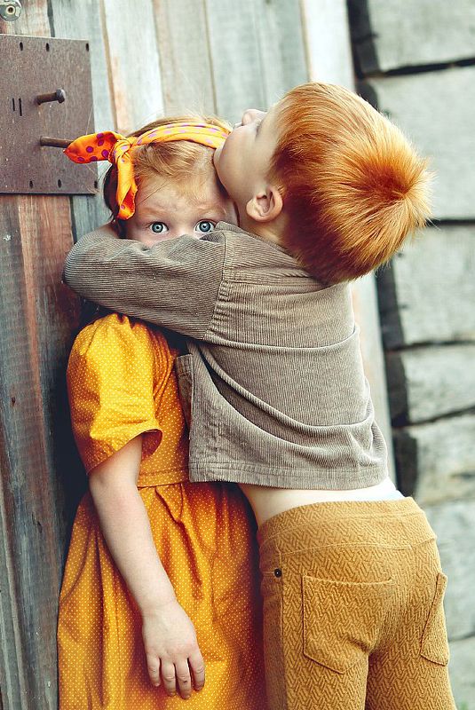 рыжики фото превью