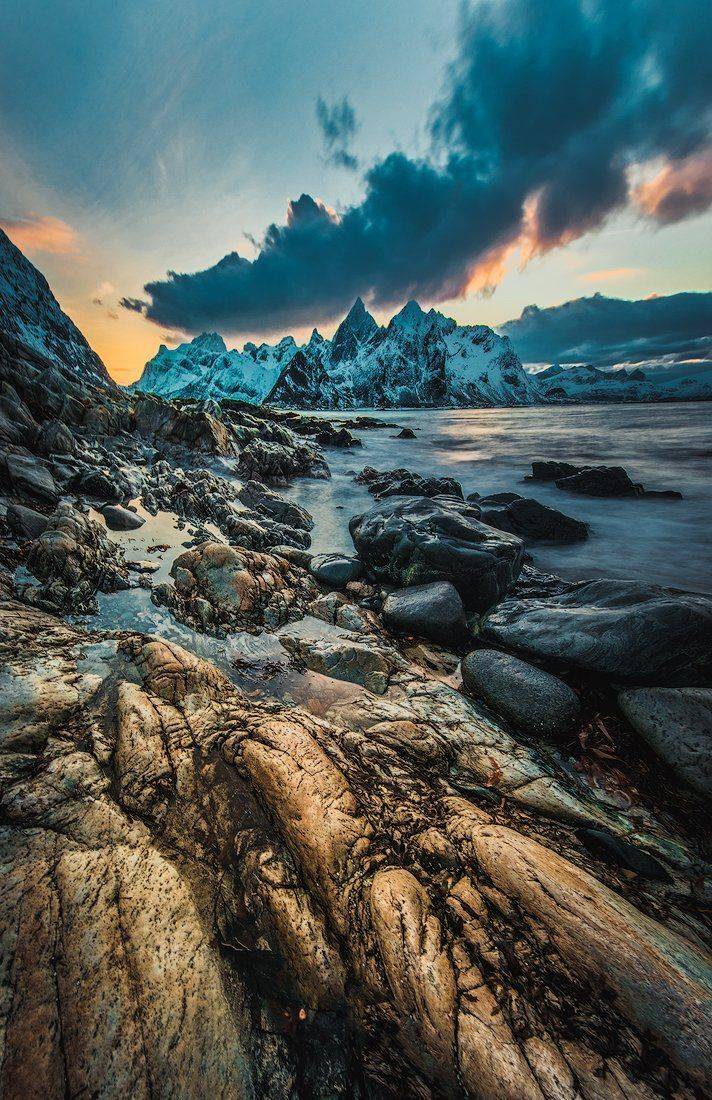 , Тодор Божков