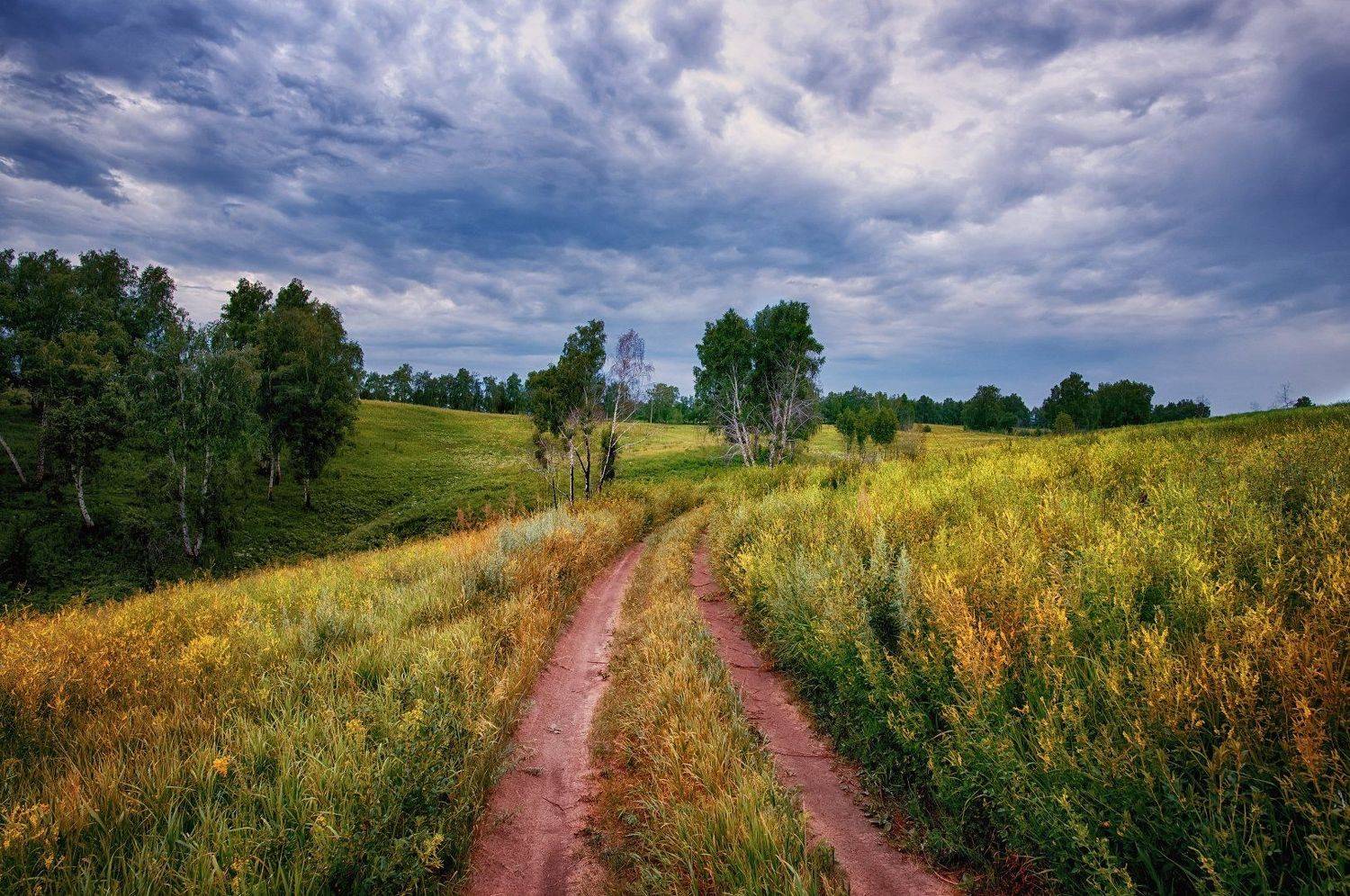 алтай, обь, Владимир Лякишев