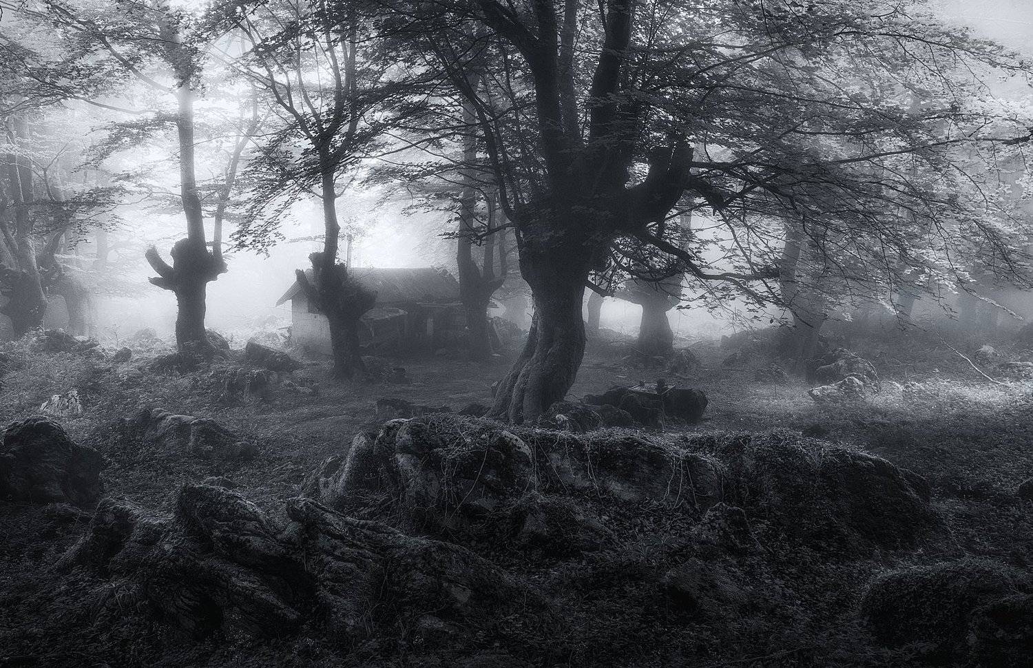 , Сергей Давыдов