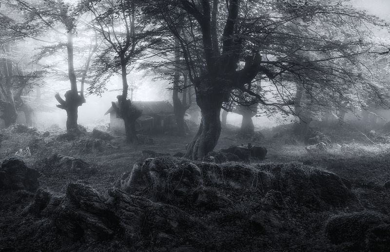 Поворот не туда фото превью